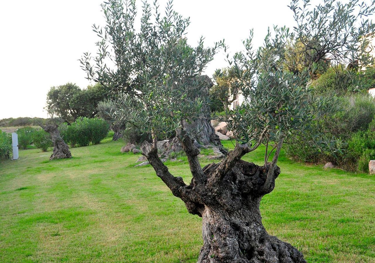 Le Rocce Antiche Hotel
